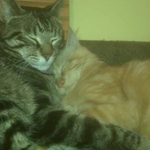 Meet your Posher, Diane